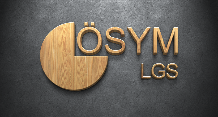 2025 LGS Puanı Hesaplama Sistemi